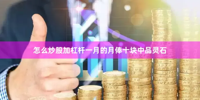怎么炒股加杠杆一月的月俸十块中品灵石