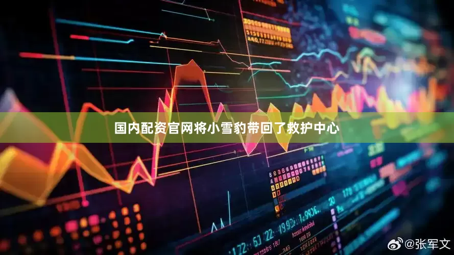 国内配资官网将小雪豹带回了救护中心