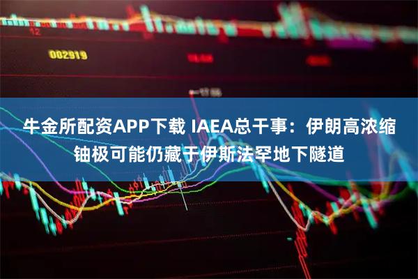 牛金所配资APP下载 IAEA总干事：伊朗高浓缩铀极可能仍藏于伊斯法罕地下隧道